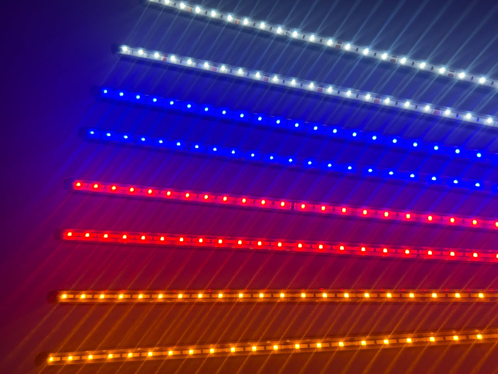 6" LED Light